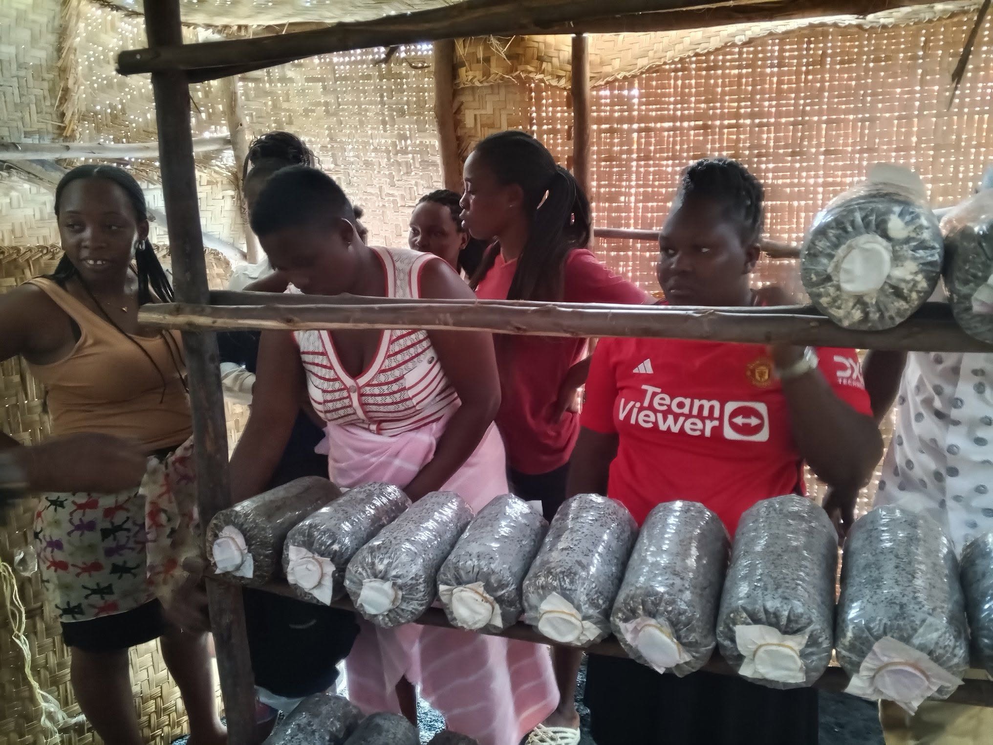 Women's Mushroom Enterprise Network